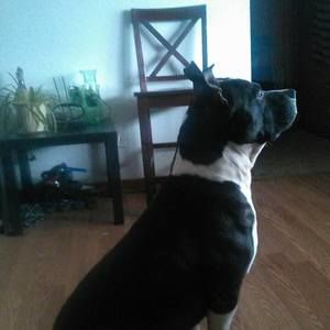 Meet your Posher, Kenneth